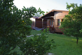 Гостиница Ozge Bungalow Hotel  Кемер